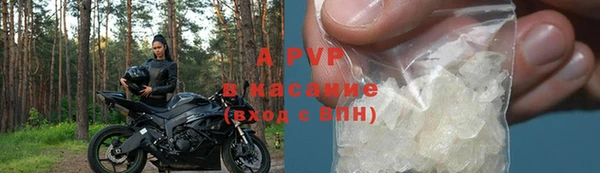 стаф Алзамай