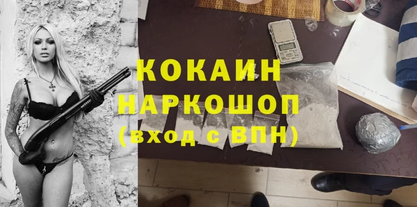 стаф Алзамай